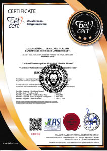 ISO 10002 Müşteri Memnuniyeti